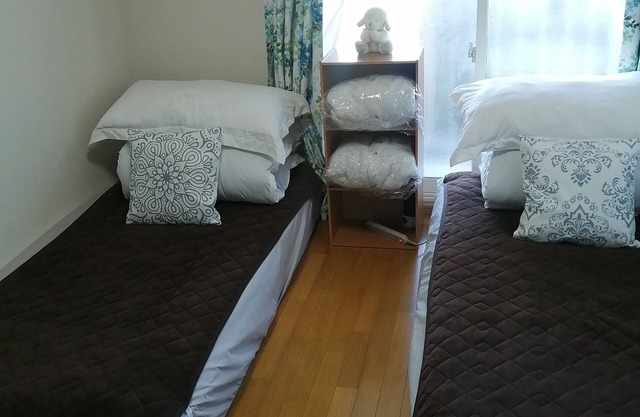 Tokyo downtown botansou B