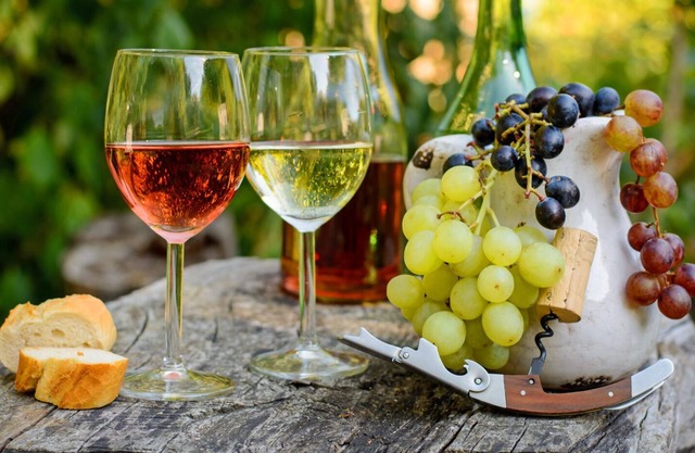 TOP vacation home with a view of the Moselle and Bischoffstein Castle