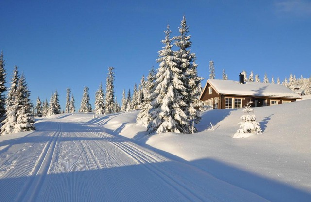 Tores hytte på Sjusjøen