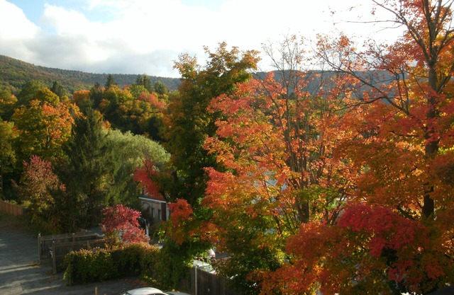 TOWNHOUSE-Slp 8 Mt View/6 BEDS. Downtown Windham. Walk to restaurants and stores