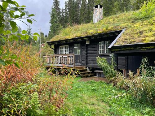 Traditional Log Cabin By Lake Seljord