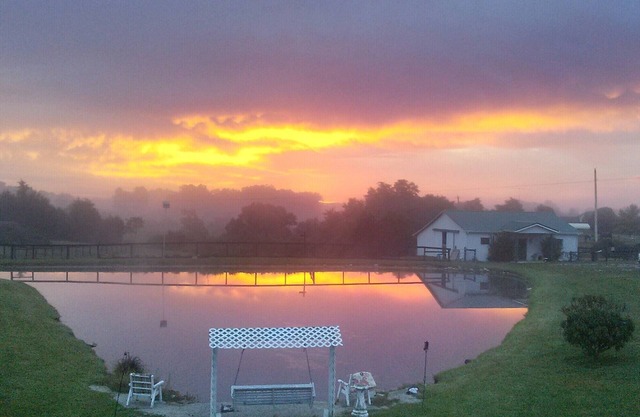 Tranquil morning horizons watching the horses graze in your own private space.
