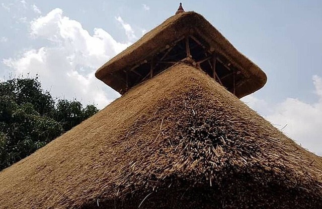 Tree and Mud House