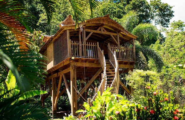 Tree house