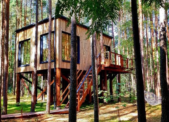 Tree Houses Olszanka