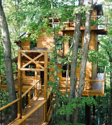 Treehouse #3 by Amish Country Lodging