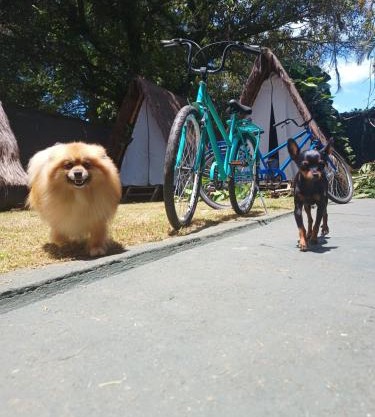 Tropical Casa Ubatuba