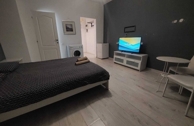 Tudor Apartment Universitate