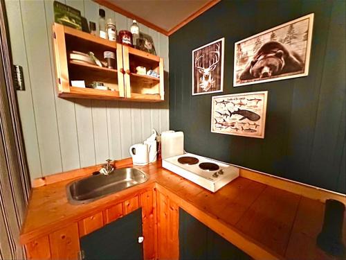 Turifoss Camping Cabin 1