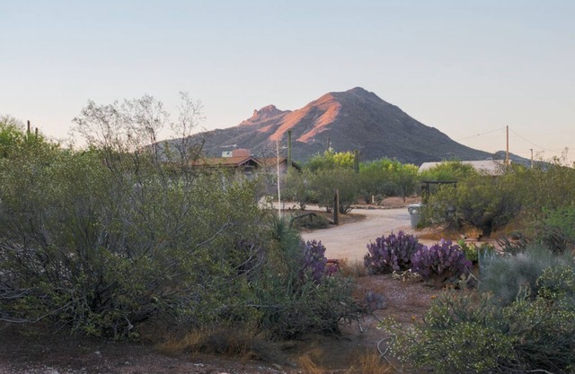 Turtle House *One-of-a-kind* 3 bedroom/3 bathroom *Rare Fine*