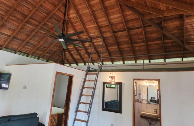 Turtle Suite