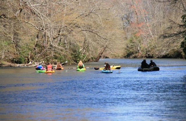 Two Rivers Cabins - The Dell