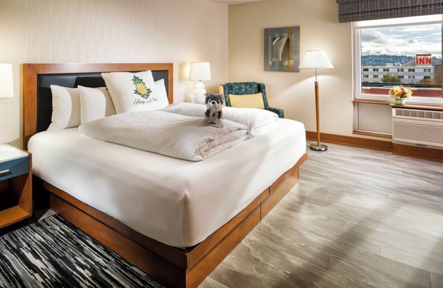 UDistrict King, Watertown Hotel - Staypineapple, Pet-Friendly, Campus Nearby!