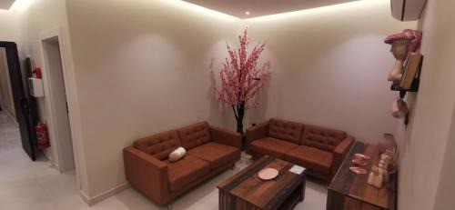 UNDD Ladies للسيدات