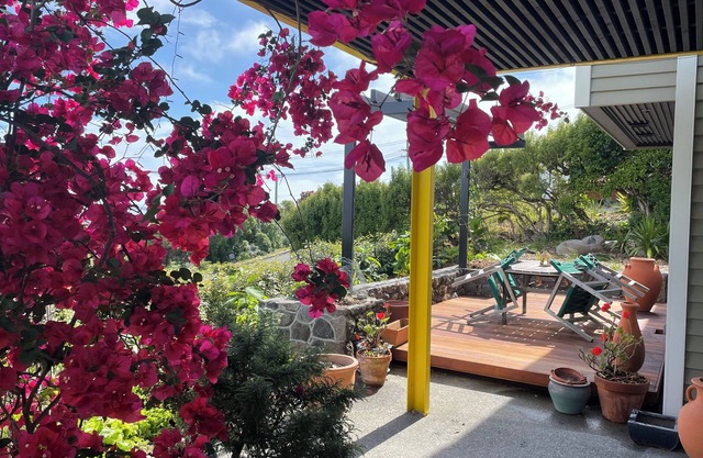 Under the Yellow Canopy, St Andrews Hill Road, Mt Pleasant, Christchurch NZ