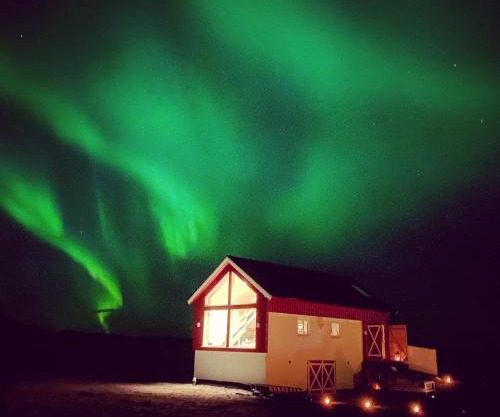 Unique Barnhouse in Amazing Gimsøy in Lofoten
