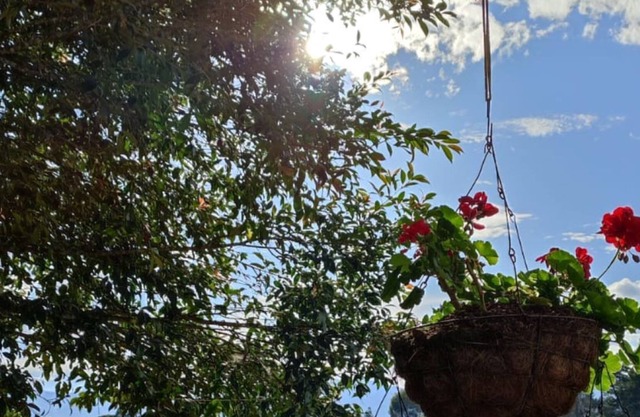 Unique Glamping/Bethsaida Dome