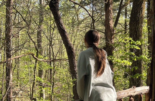 Unplug and hide from the world in this rustic South Pittsburg cabin