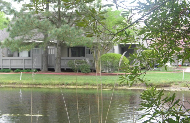 Updated Lakefront Condo; Close to Pool, Beach Shuttle, tennis, and fishing!