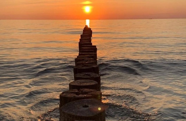 Vacation apartment/apartment for 4 guests with 89m² in Markgrafenheide (162079)