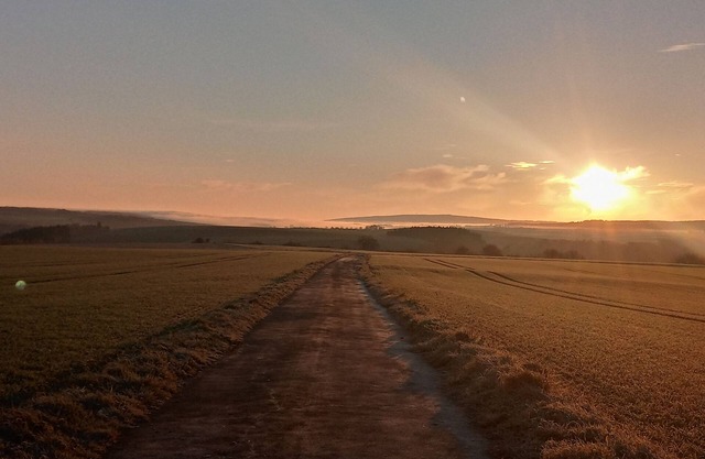 Vacation apartment/apartment for 5 guests with 60m² in Kleinich (157687)