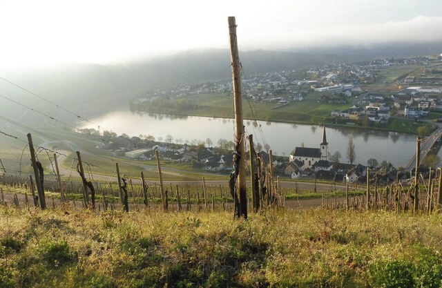 Vacation apartment with wonderful view of the Moselle, quiet location, garden, parking, wifi