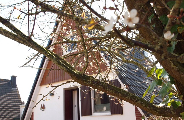 Vacation home Am Yachthafen in Harlesiel - Holidays in a cozy roof-only house