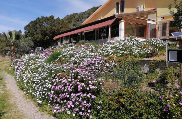 Vacation Home 'Il Lentischio - Rosmarino' in Cala Lunga 200 Metres from the Sea