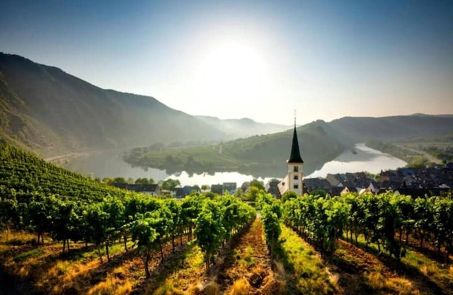 Vacation home Moselzeit in Klotten near Cochem