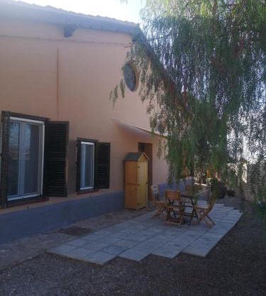 Vegan garden Apartment