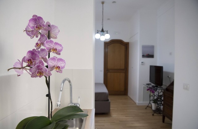 Vesuvio Blu Apartment in the center of Naples