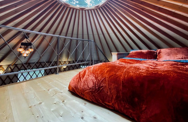 Vibrant and unique yurt - Welcome to Madrona Grove