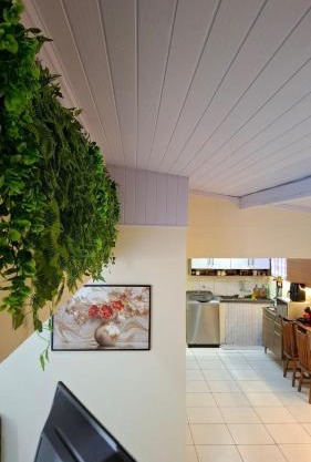 Vilars154 - Cavaleiros e Lagoa