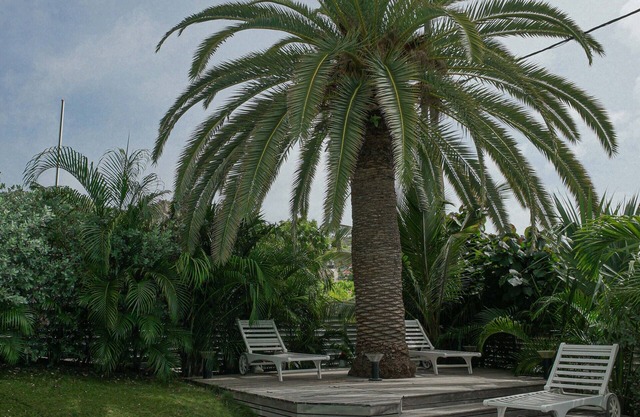 Villa Eden - Located in Exquisite Saint Jean with Private Pool