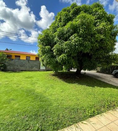 Villa F3 Bougainvilliers