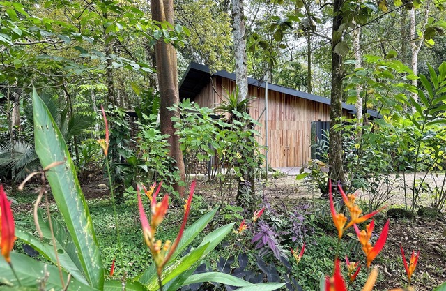 Villa Iguana - nice house for Resting Under the Trees