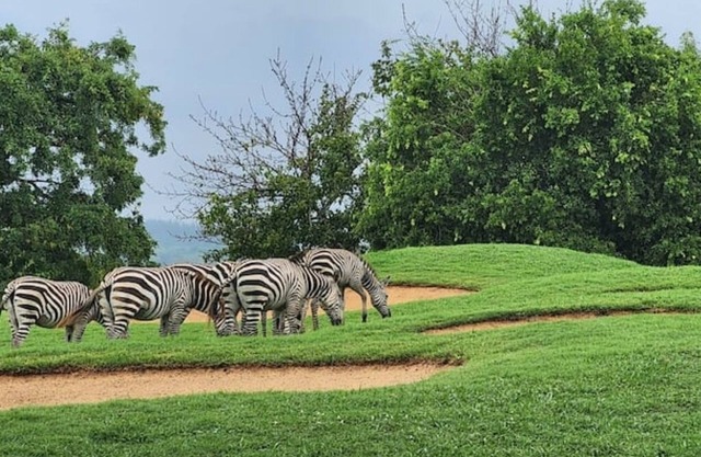 Villa in Vipingo Ridge Golf Course. - Near Mombasa