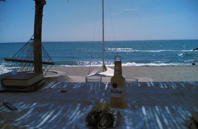 Villa In Pineta Di Roccamare With Private Beach