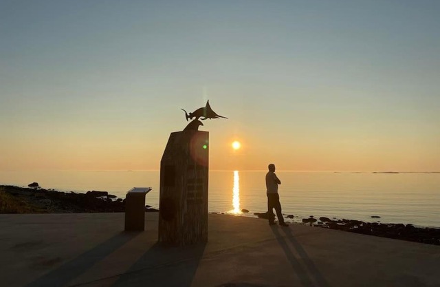 Villa Reipå - northern lights and midnight sun