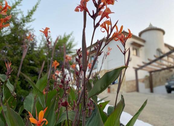 Villa Sunshine Countryside Resort