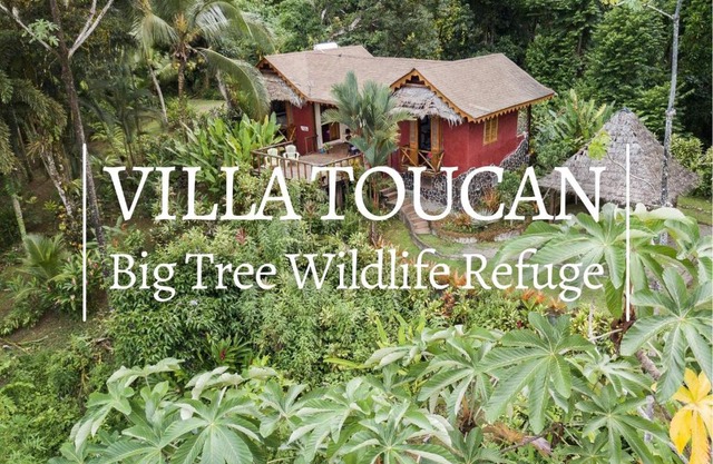 Villa Toucan with National Geographic Views