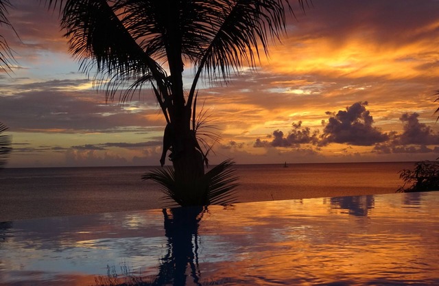 Villa with exceptional sea view, infinity pool and jacuzzi, direct sea access