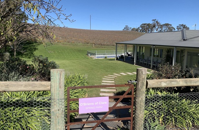 Vineyard views, large deck, Pet friendly, WiFi, Netflix, Pool, Firepit, Aircon