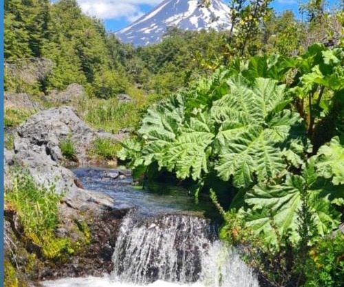 Vista al volcán con tinaja y río en Conguillío