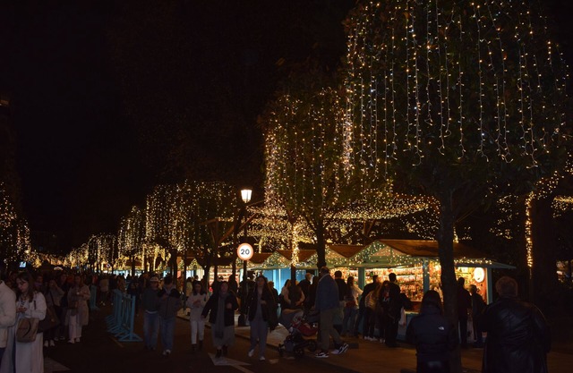 Viva Vigo overlooking the estuary