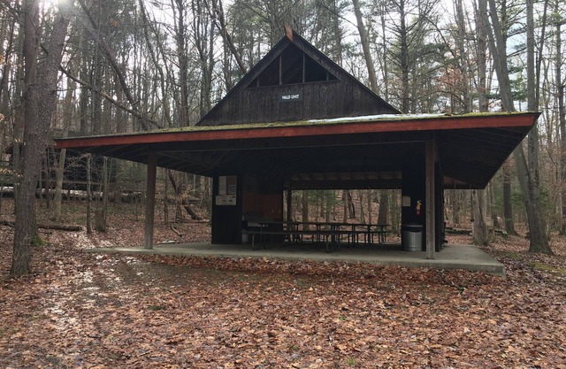 Wald - Rustic Lakeside Cabins half hour to Penn State
