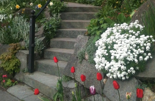 Walk to the lake from your Classic Seattle Craftsman!