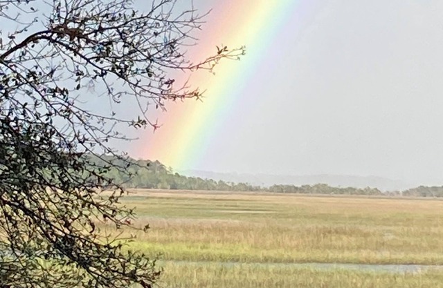 Water View Palm Key & Knowles Island Area Cottage