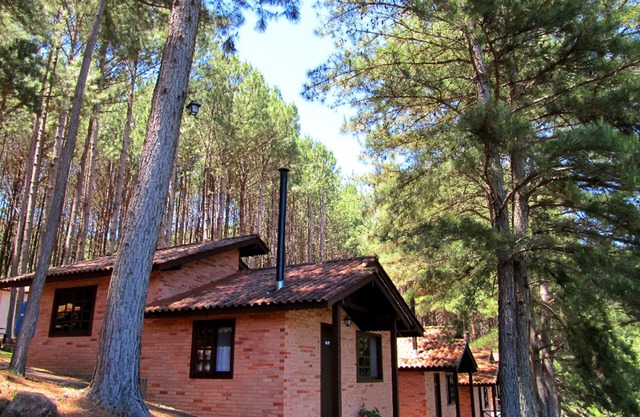 Waterfall Park - Chalet