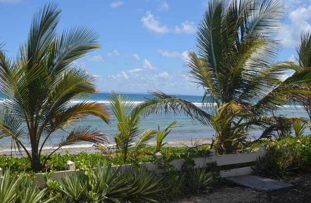 WATERFRONT APARTMENT ON THE SAND CRYSTAL BEACH